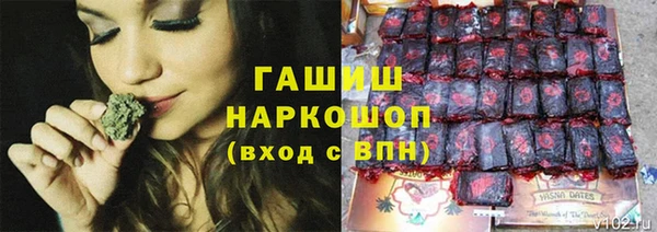СК Горнозаводск