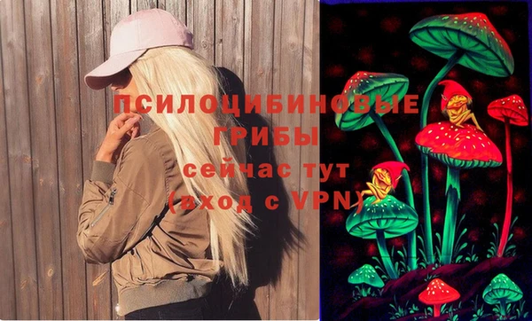 дурь Горняк