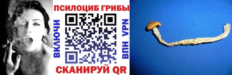 купить   Поворино  Галлюциногенные грибы мухоморы 
